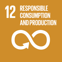 SDG-goals_Goal-12 Responsible Consumption & Production