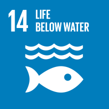 SDG-goals_Goal-14 Life Below Water